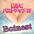 【5個セット】Boinest